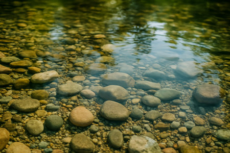 A serene view of smooth stones under clear water in a tranquil stream settingの素材