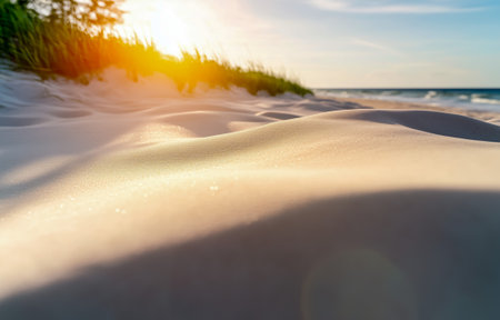 Soft sand dunes gently illuminated by the warm glow of the setting sun at the beachの素材
