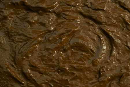 A close-up view of a textured dark brown clay or mud surface with reflective sheenの素材