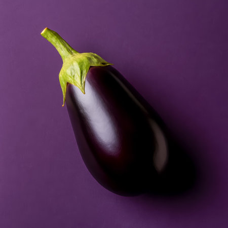 A fresh eggplant placed on a smooth purple background, ideal for food photography and culinary artsの素材