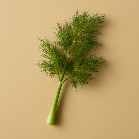 A vibrant sprig of dill placed on a minimalistic beige background for food photographyの素材