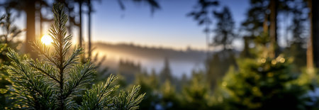 A beautiful sunrise illuminating pine trees in a tranquil forest landscapeの素材