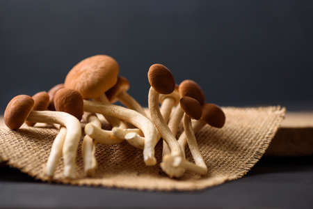 Natural fresh brown mushrooms are a healthy and vegetarian ingredient.の写真素材