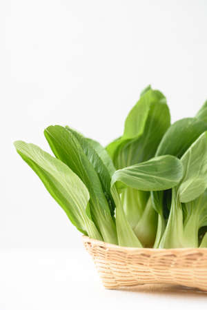Bok choi (white cabbage) on a white background Ingredients in Asian Vegetarian and Healthy Foodの写真素材