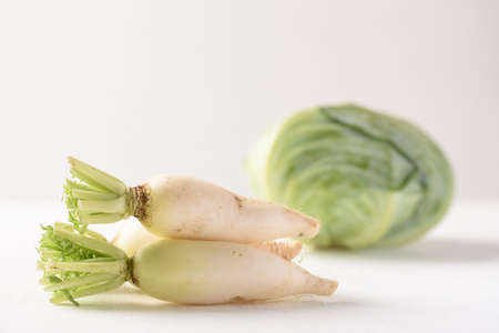 Cabbage and white radish on white background. Organic vegetable from Thai farmer in local marketの写真素材