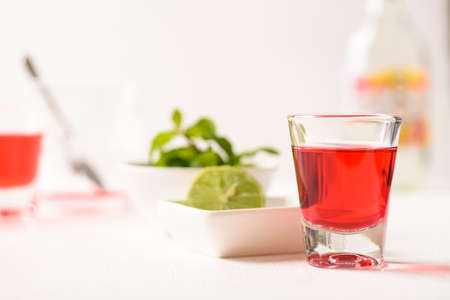 Red tequila with lime and mint on white background, Tropical spring and summer vacation concept