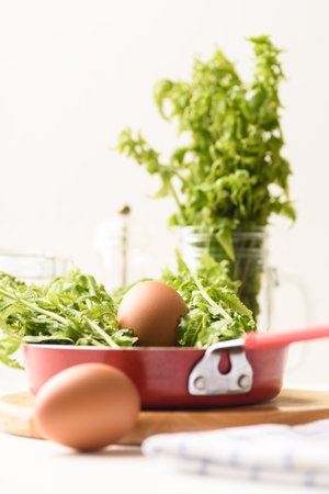 Organic edible fern vegetable from local market on white backgroundの写真素材