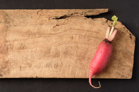 Organic radish from Thai farmer  local market on black backgroundの写真素材