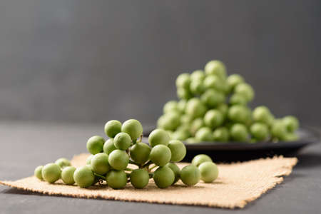 Pea eggplant or turkey, Organic local vegetable from northern Thai farmer market on black background