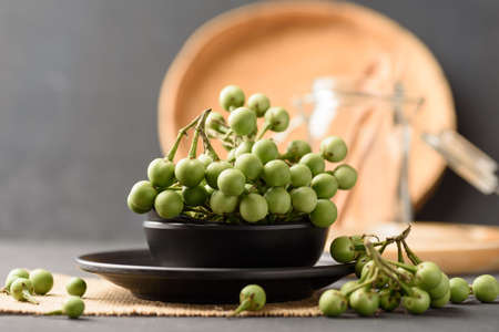 Pea eggplant or turkey, Organic local vegetable from northern Thai farmer market on black background