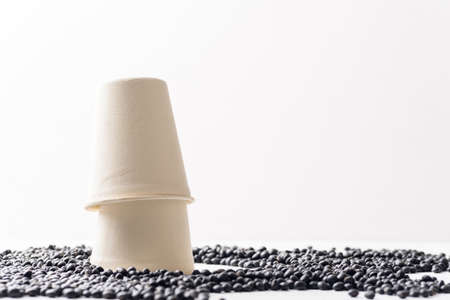 Organic black soybean is an ingredient in plant based as a healthy and vegetarian food