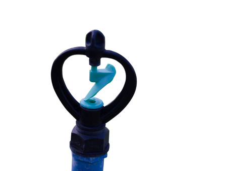 Shot Near White Springer.の写真素材