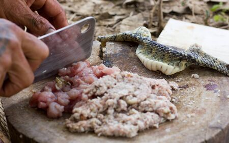 Guys are chopping snake meat and snake skin for a meal.の写真素材
