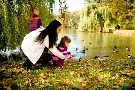 portrait of a young family in the autumn parkの写真素材