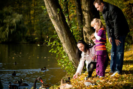portrait of a young family in the autumn parkの写真素材