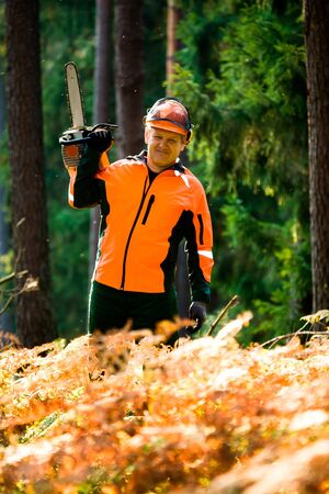 a woodcutter at work in the forest