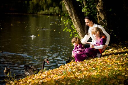 portrait of a young family in the autumn parkの写真素材