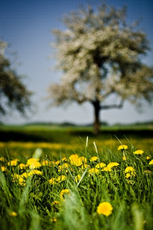 a rural lansdscape near Coburg in Germanyの写真素材