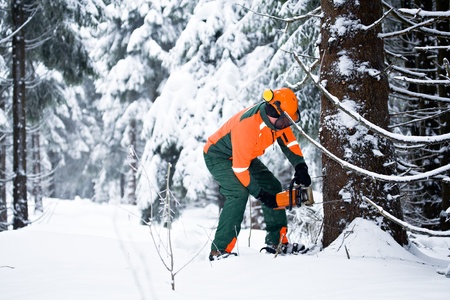 a woodcutter at work in the winter forestの写真素材