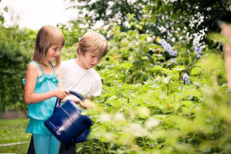 children working in the gardenの写真素材