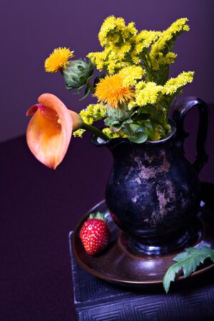 Zantedeschia aethiopica, Calla lily flower and diverse field flowersの写真素材