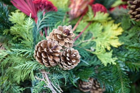 close up shot of a winter wreath
