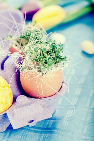the easter installation with eggs and plants