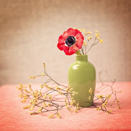 close up shot of a Anemone in the vaseの写真素材