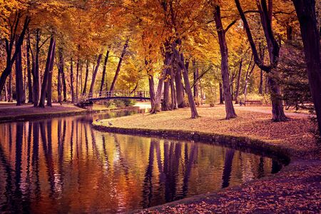 Old park in fall. Germany, Europeの写真素材