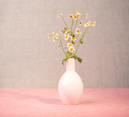 close up shot of camomile flowers in the vaseの写真素材