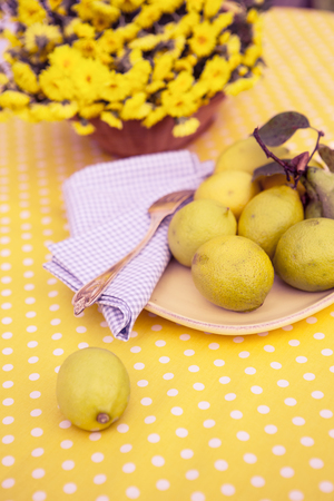 Still life with a covered table in the hardenの写真素材