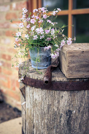 floral arrangement in the old garden, Coburg, Germanyの写真素材