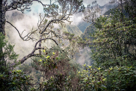 Mountain view on Madeira Island, Portugal