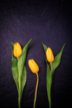 bunch of tulip flowers on the tableの写真素材