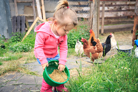 little girl feeding chickens in front of farmの写真素材