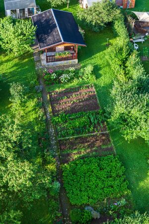 Air view of a garden plot in Germanyの写真素材