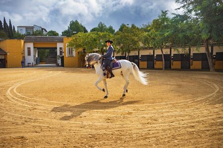 JEREZ, SPAIN - CIRCA NOVEMBER, 2019:  The Yeguada de la Cartuja stud farm of Jerez de la Frontera in Andalusia, Spainのeditorial素材