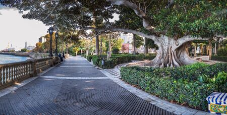 CADIZ, SPAIN - CIRCA OCTOBER, 2019:  The Jardines de la Alameda Apodaca Park of Cadiz in Andalusia, Spainのeditorial素材