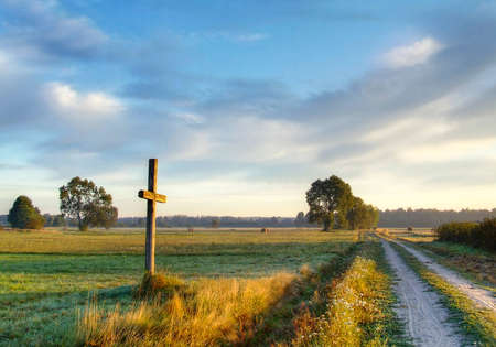 Road landscapeの写真素材