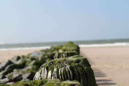 breakwater at the beachの写真素材