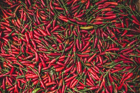 Fresh red chilies on a morning marketの写真素材