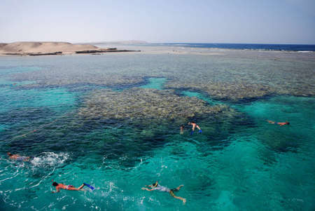 snorkeling in the beautiful warm water coral reef in the red sea egyptの写真素材