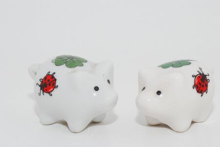 two white porcelain pig happy new year for luckの写真素材