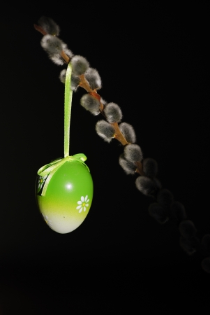 beautiful green palm kitty easter egg on a black backgroundの写真素材