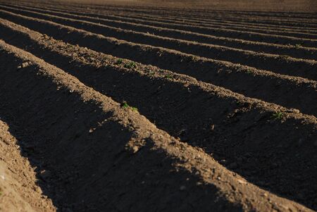 well plowed farmland with dark brown earth