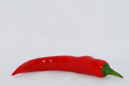 spicy red chilli on white background large view