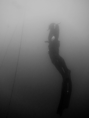 apnea diving or free diving occur with long flowingの写真素材