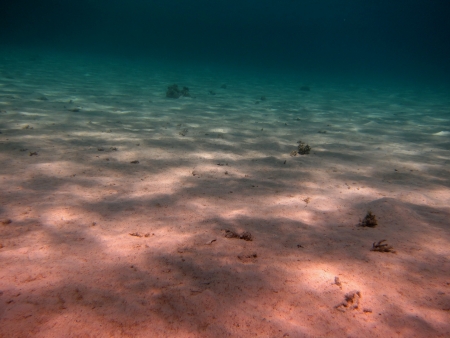 seabed in the red sea of sand and clear waterの写真素材