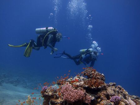 the two divers with bubbles coral reef in the red seaの写真素材