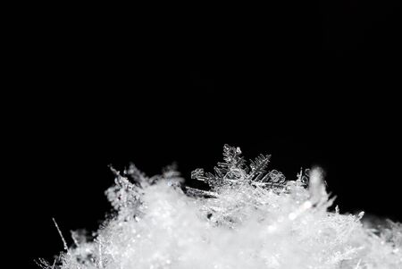 crystal flower in the snow with black backgroundの写真素材